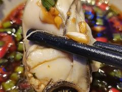 -千岛蚝高压锅生蚝·人参火锅(白云万达店)