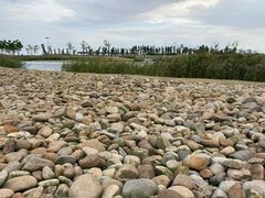 -鹦鹉洲湿地公园