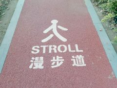 景点-北外滩滨江绿地