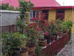 -马白开来特色羊排揪片子  (总店)