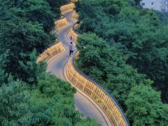 -福道