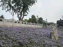 -楚望台遗址公园