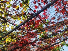 -伊隆斋(什刹海店)