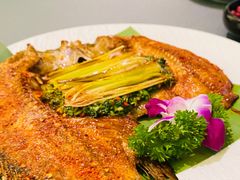 -紫滇源云南生态菜(丹凤街店)
