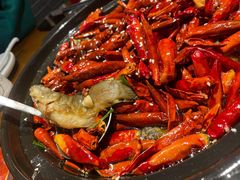 香辣武当岩鱼-丹江渔村(望京店)