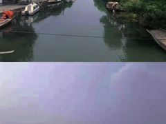 -莲花岛景区