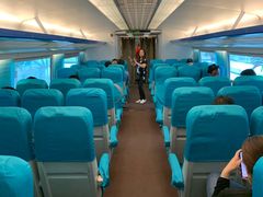 -龙阳路磁悬浮列车总站-停车场