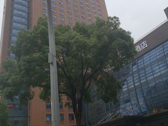 -杭州费尔曼铂金大酒店