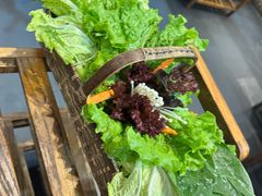 -南门四季铜锅涮肉(左家庄店)