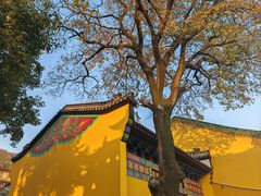 -宝通禅寺