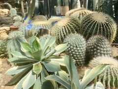 -国家植物园南园