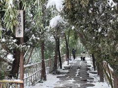 -洛阳白马寺