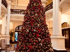 -Salon de Ville浦江汇(上海外滩华尔道夫酒店店)