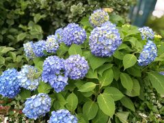 -湖南工业大学(主校区（河西校区）)