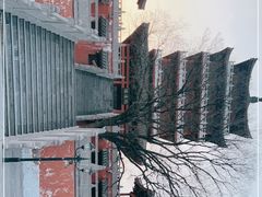 -思念果岭悦温泉