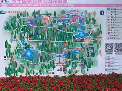 -东平国家森林公园