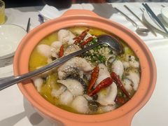 -Aqua Oasis 水天堂(石路天虹店)