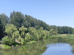 -东郊湿地公园