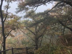-罗田薄刀峰风景区