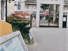 -亭林公园
