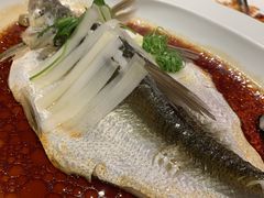 -宁波柏悦酒店·钱湖渔港