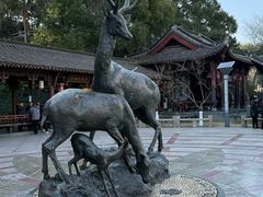 -墨池公园
