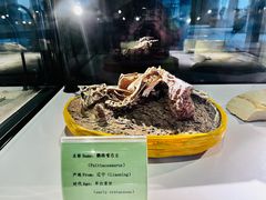-房山世界地质公园博物馆