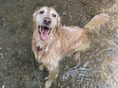 -华蓥山天意谷景区