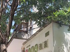 -雪儿钱局泡菜