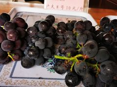 -白鹿原葡萄主题公园