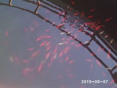 -石老人观光园