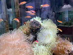 -太平洋海底世界