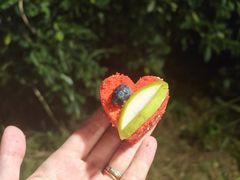 -渔家火锅·海鲜自助餐·演艺(亚龙湾天域酒店)