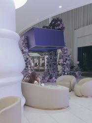 -广州美莱医疗美容医院