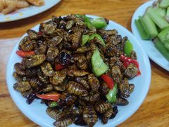 蚕蛹-同裕烧烤·海鲜·家常菜(杰座·欧洲城店)