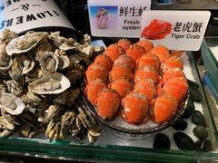 -星伦多 自助料理(圆融店)