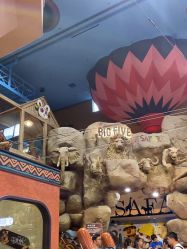 -卡通尼·Safari非洲探索乐园·生日会(金桥国际商业广场店)