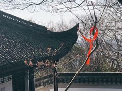 -上海佘山国家森林公园天马山园