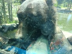 -北京野生动物园