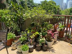 -茶油香闽南菜·花园餐厅(前埔店)