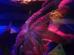 -沈阳海洋探索中心