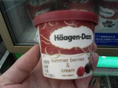 哈根达斯-全家便利店(中原二店)