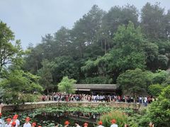 -韶山毛泽东同志故居