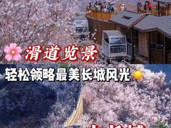 -沉浸北京·团建旅行·密室剧本杀·年会会议轰趴拓展