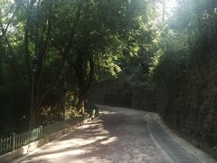 -金鸡山公园