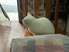 -吴记口味馆