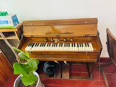 -春风十里咖啡馆