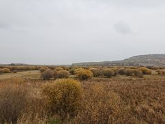 -塞罕坝国家级自然保护区