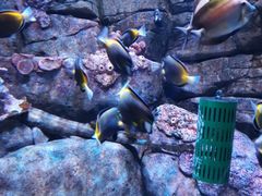 -成都浩海立方海洋公园