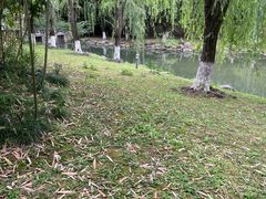 -桐乡植物园